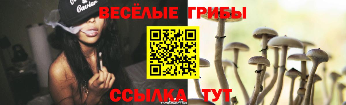 Псилоцибиновые грибы Magic Shrooms Всеволожск